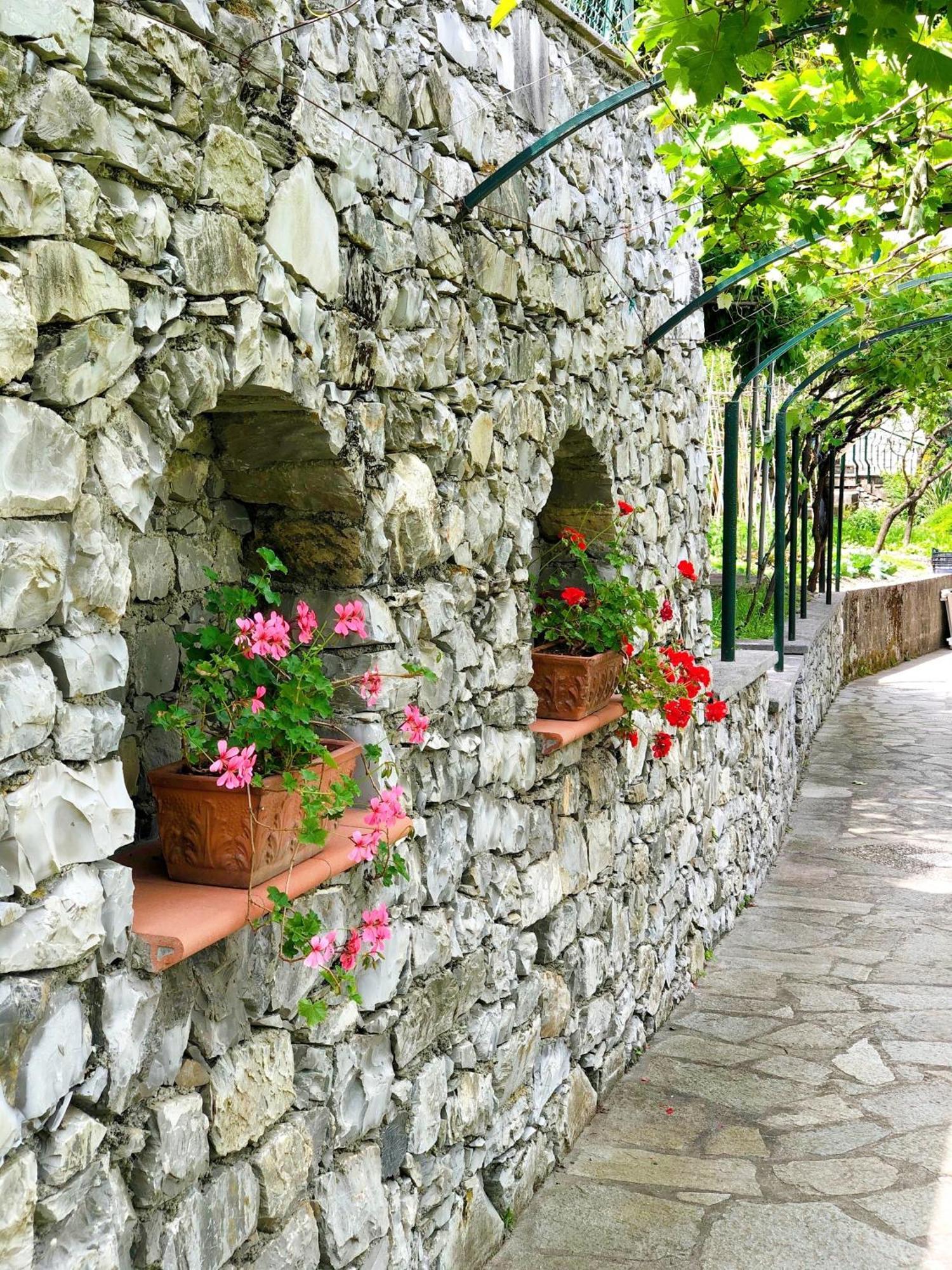Hotel Villa Edera & La Torretta Moneglia Buitenkant foto